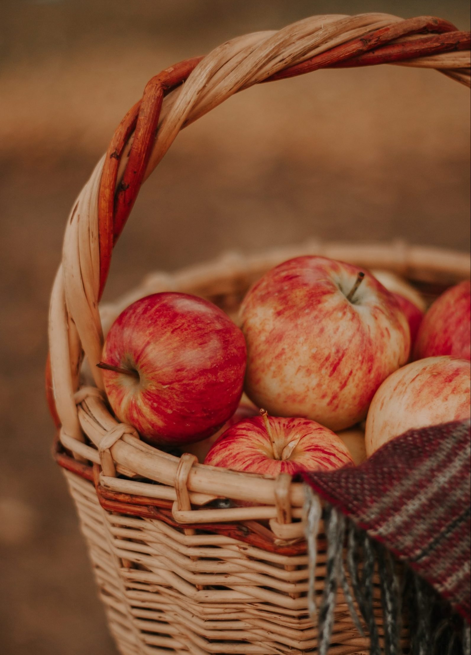 Alimentos aminoácidos