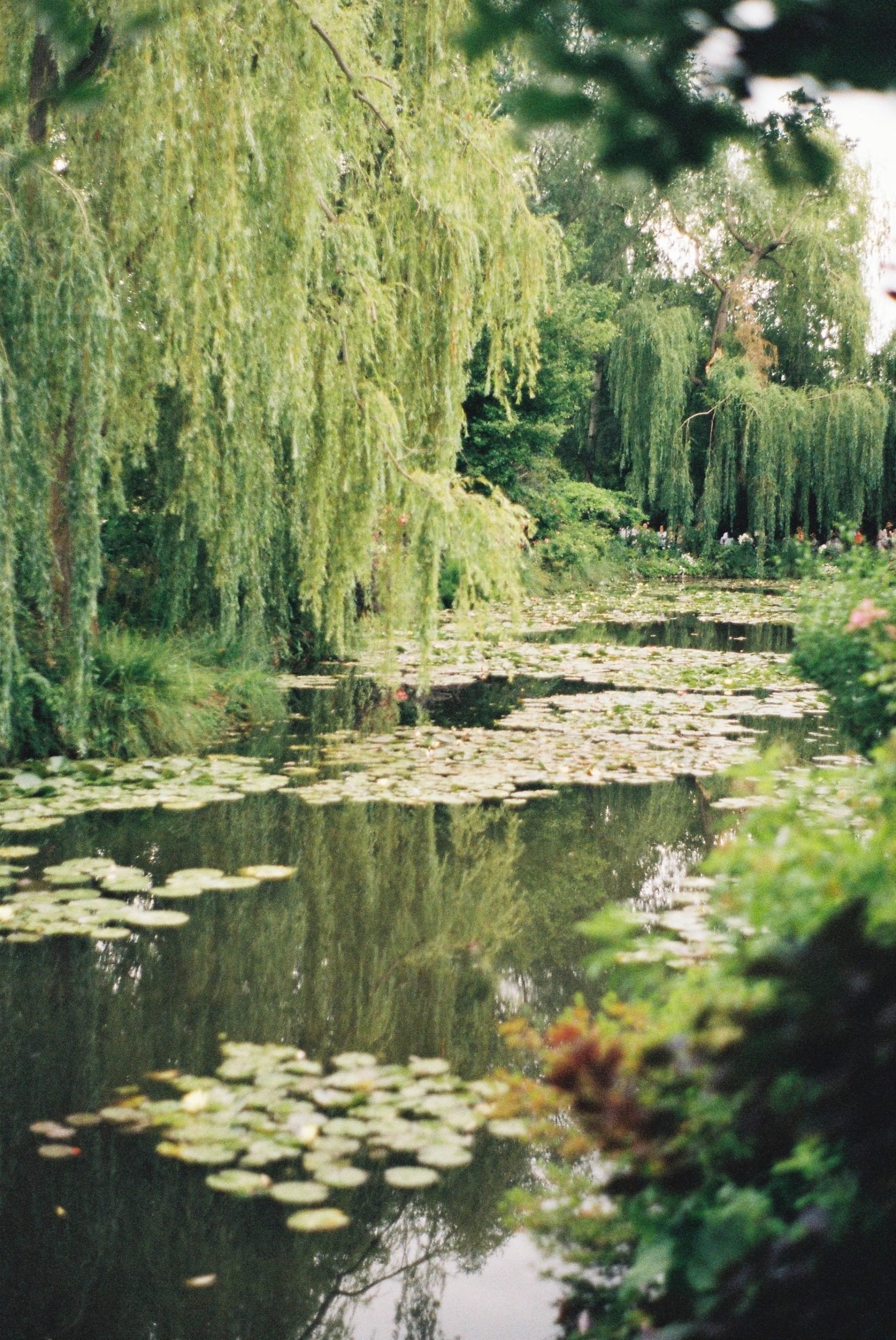 Giverny