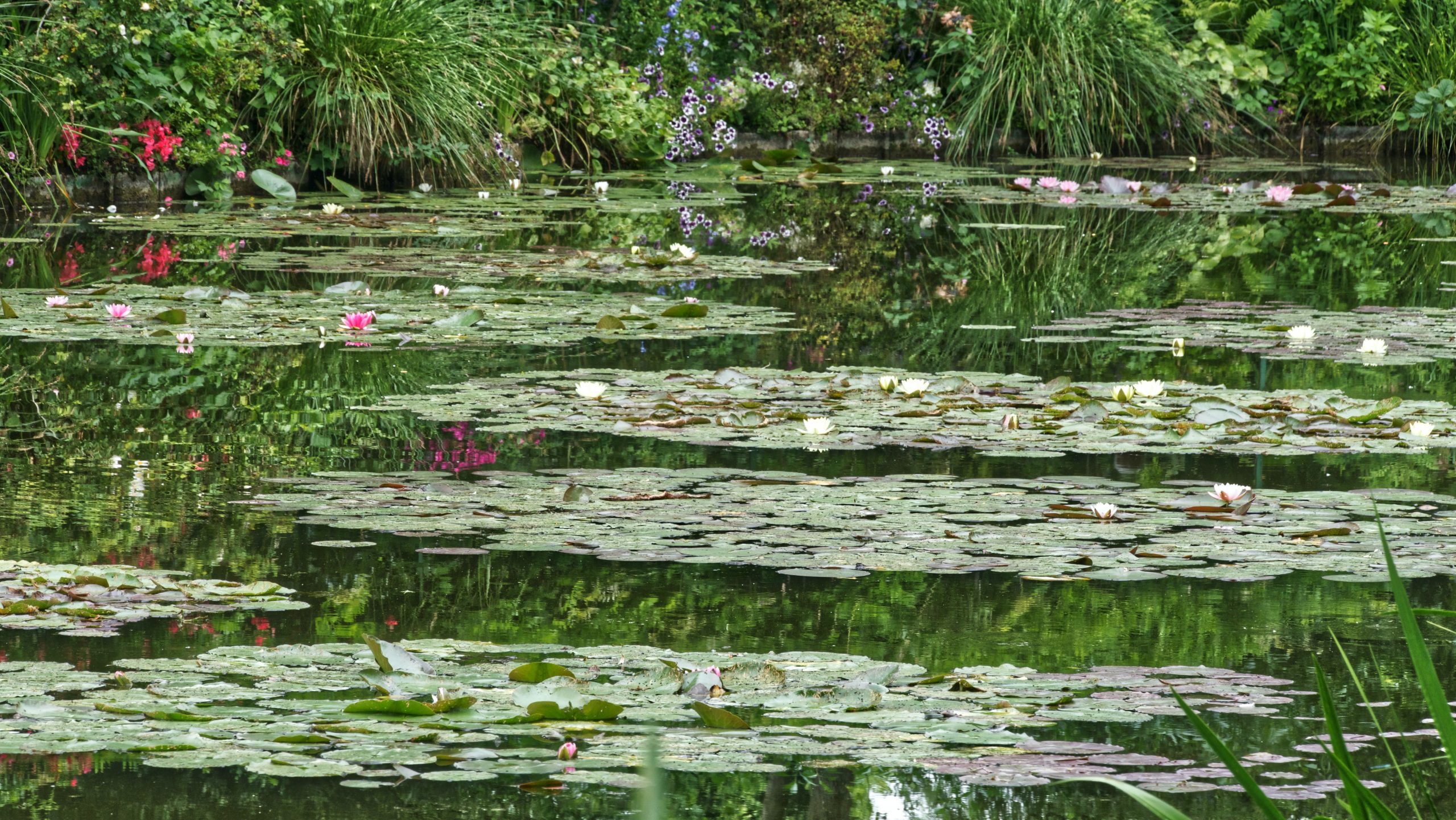 Giverny