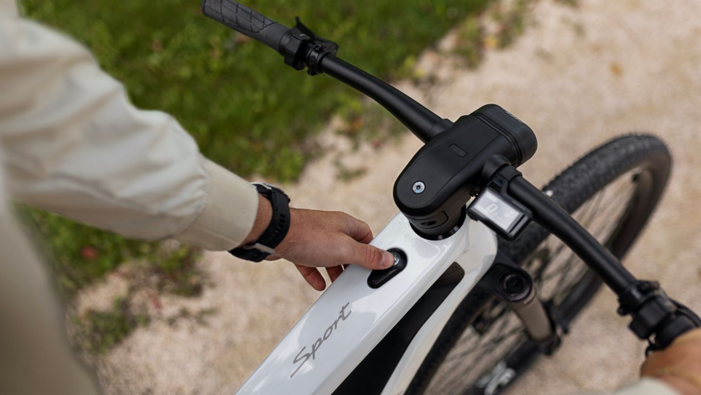 Bicicleta elétrica