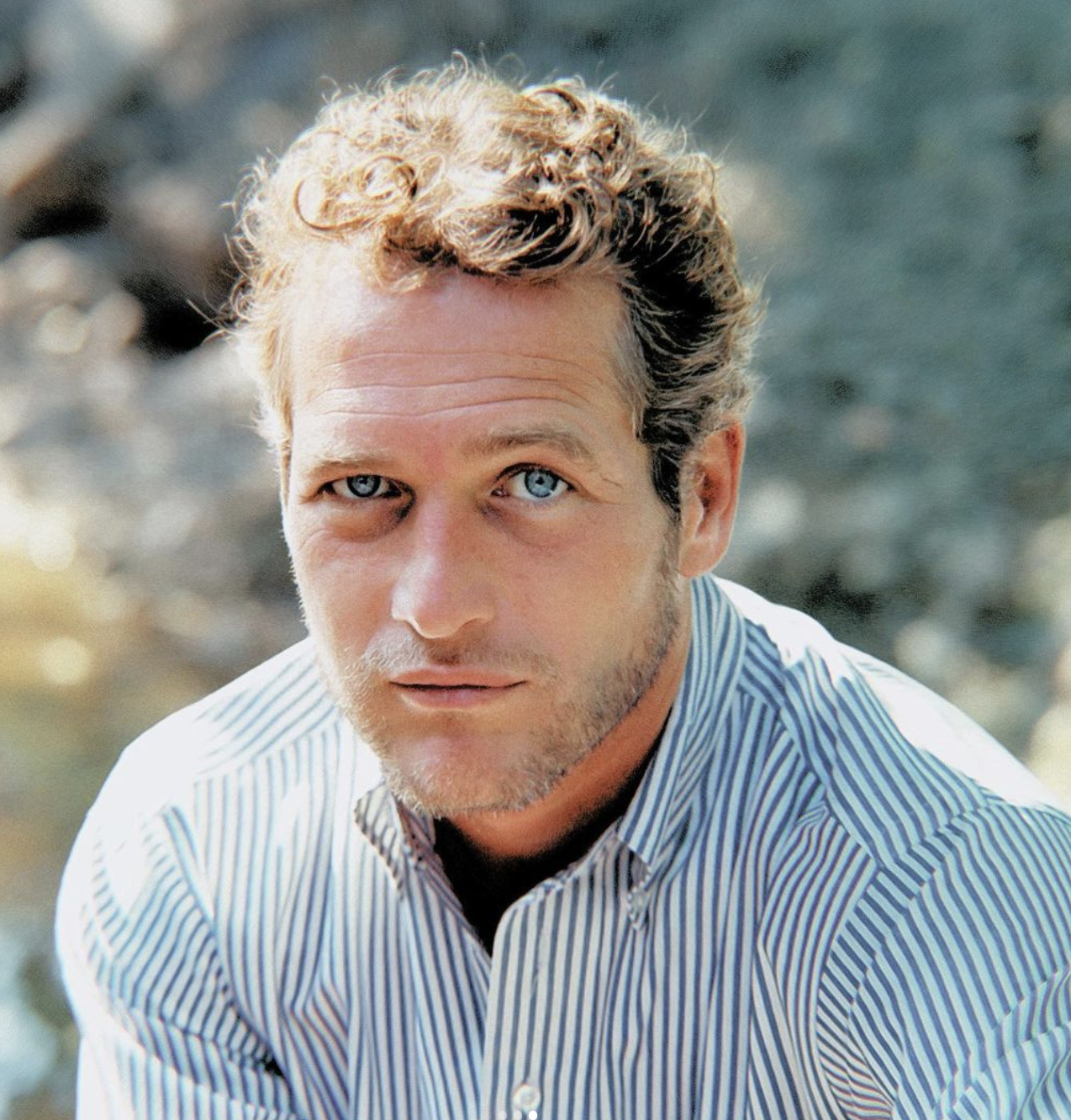 Paul Newman