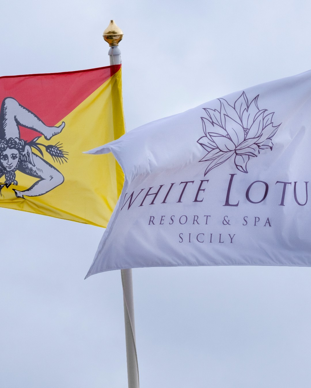 The White Lotus