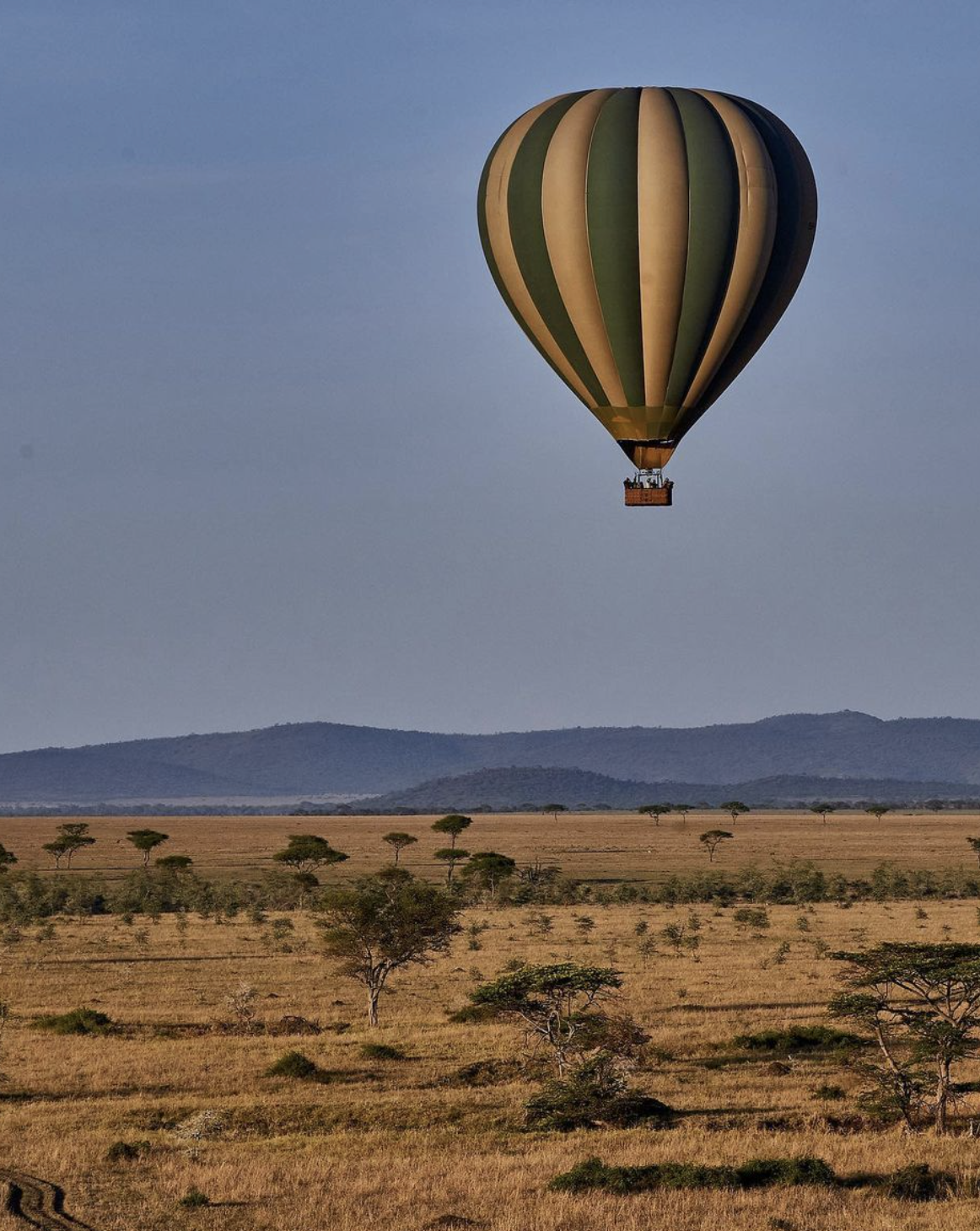 Safari de lujo