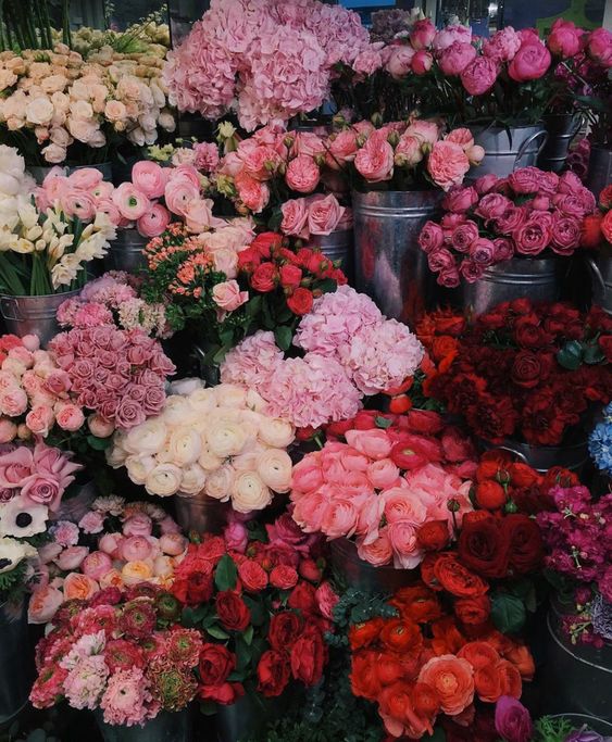 Foto: Mercado de las Flores en Hong Kong