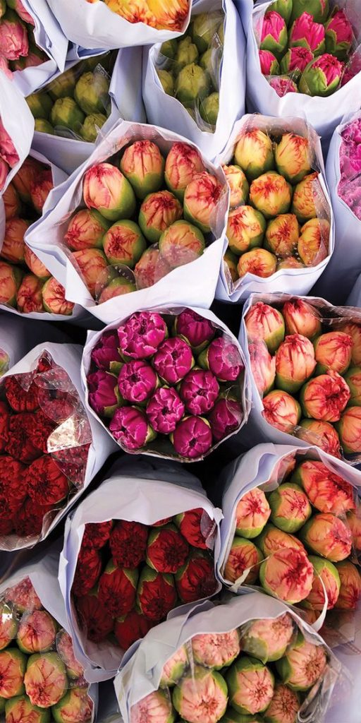 Foto: Mercado de las Flores en Hong Kong