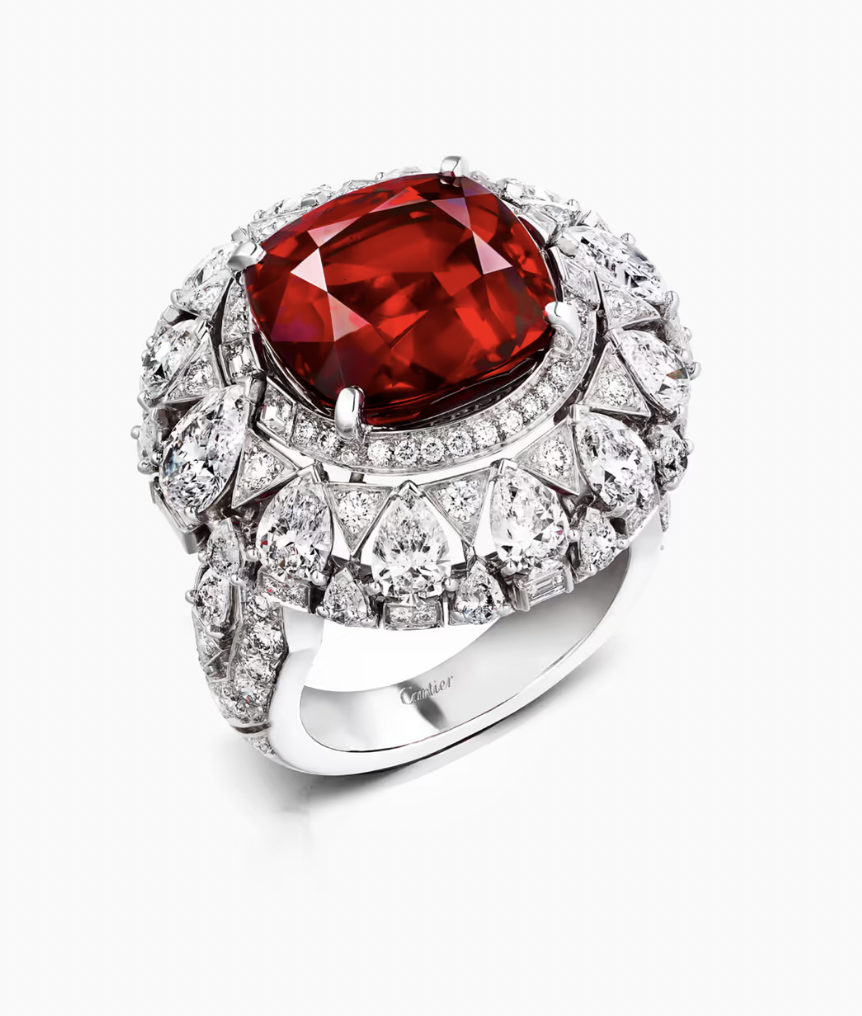 Anillo Cardinalis 