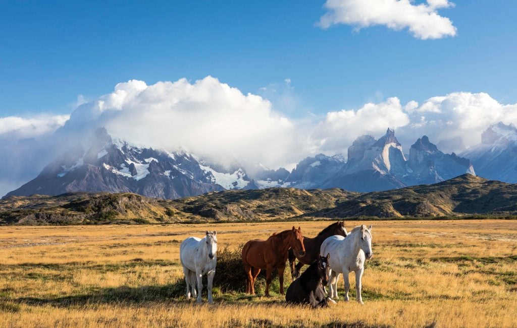 Paisaje de Chile