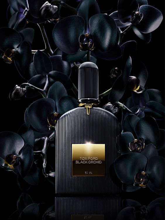 Perfume Black Orquid Tom Ford