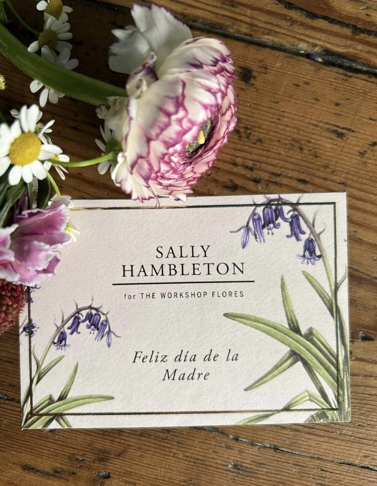 Sally Hambleton flores