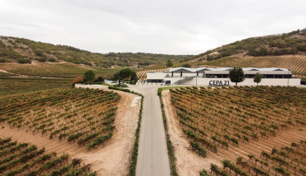 cepa21bodegas