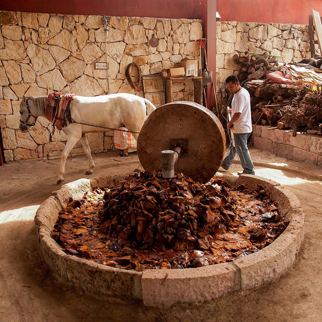 Mezcal Los Danzantes