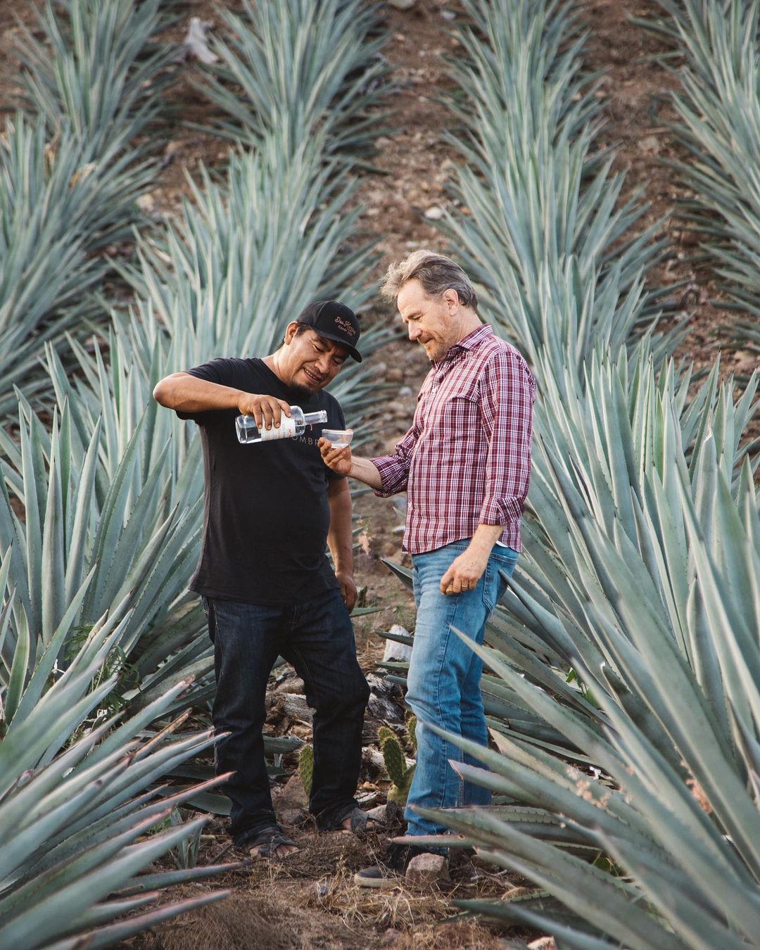 Dos Hombres Mezcal