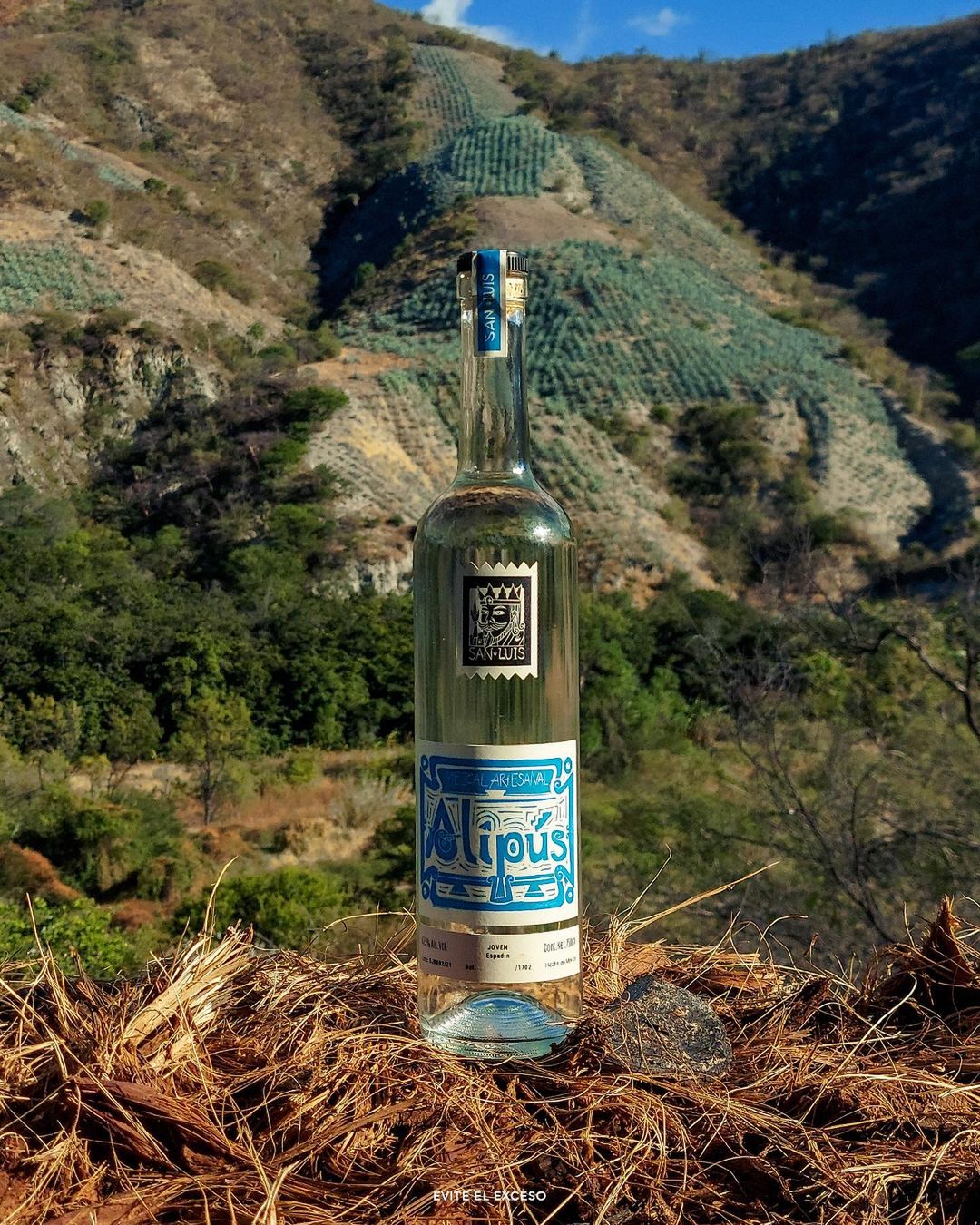 Mezcal Alipús