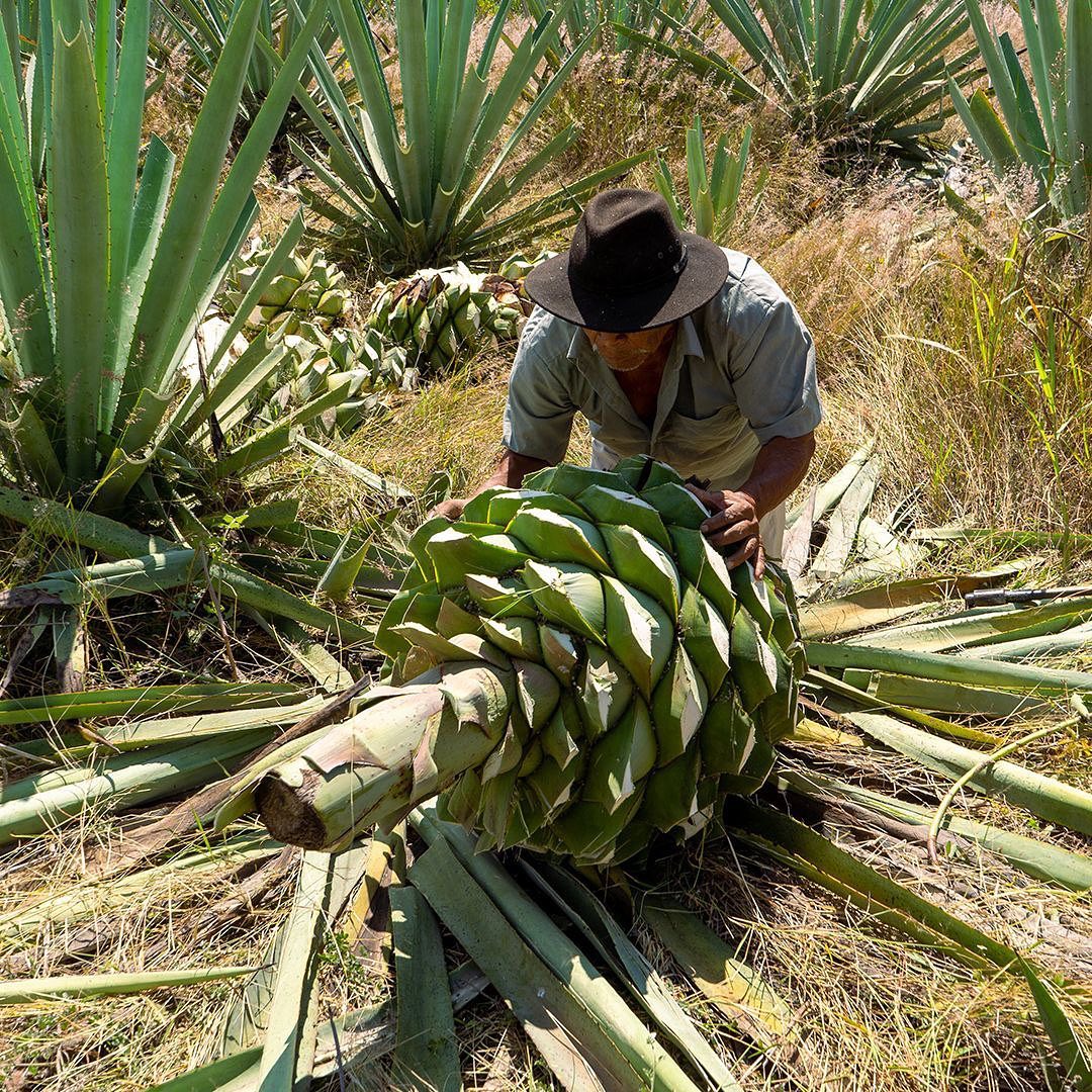 Mezcal Alipús