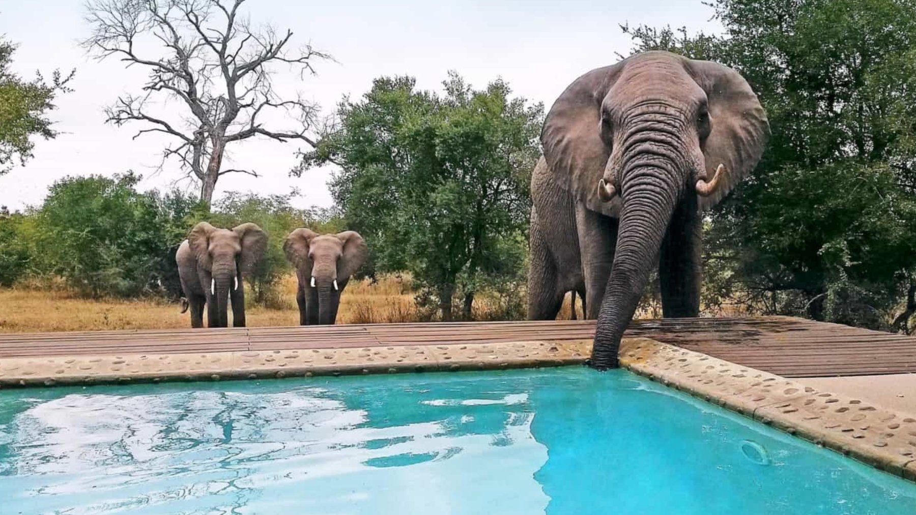 Siete hoteles perfectos para amantes de la naturaleza