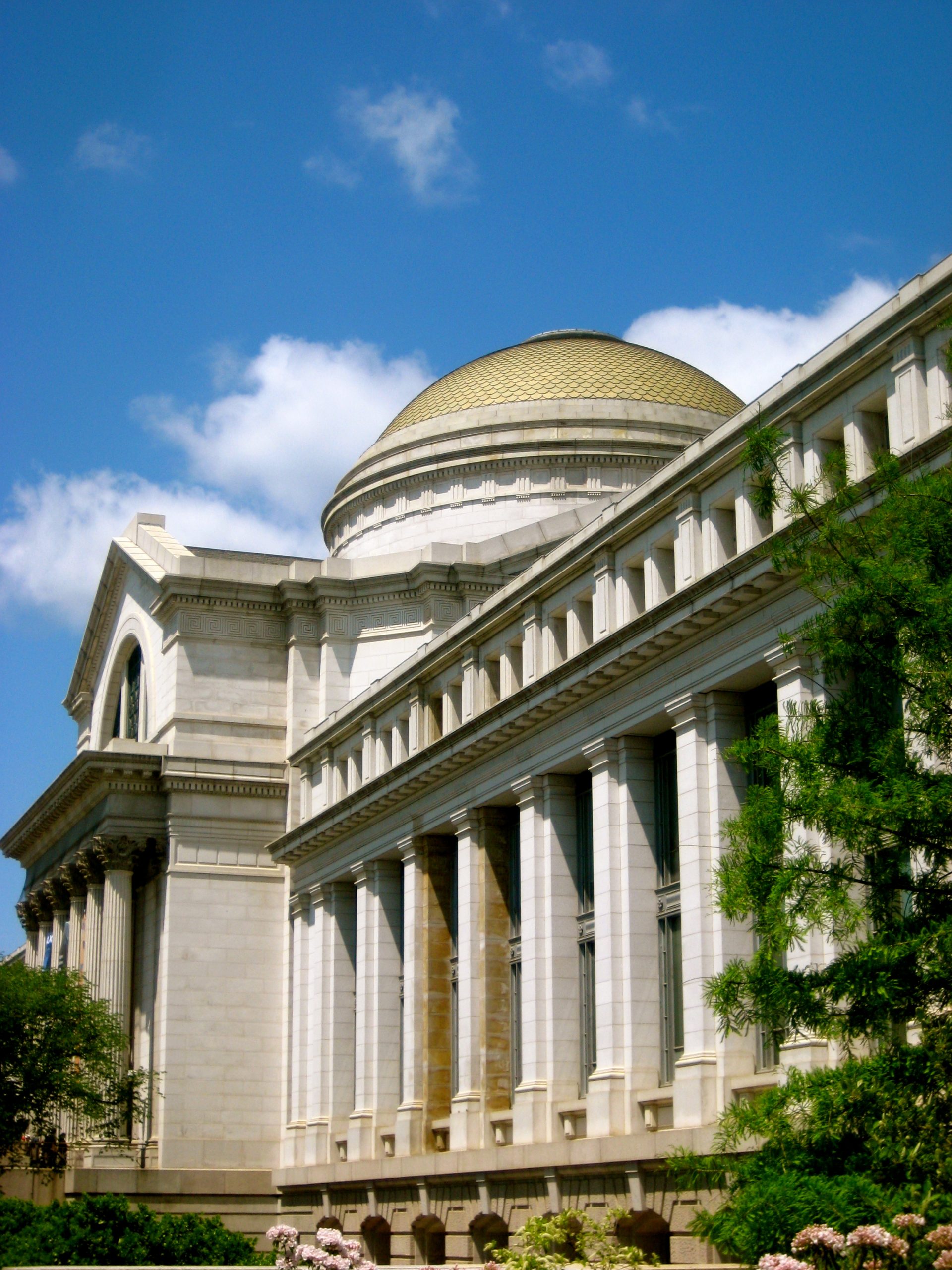 Museo de Historia Natural - Smithsonian