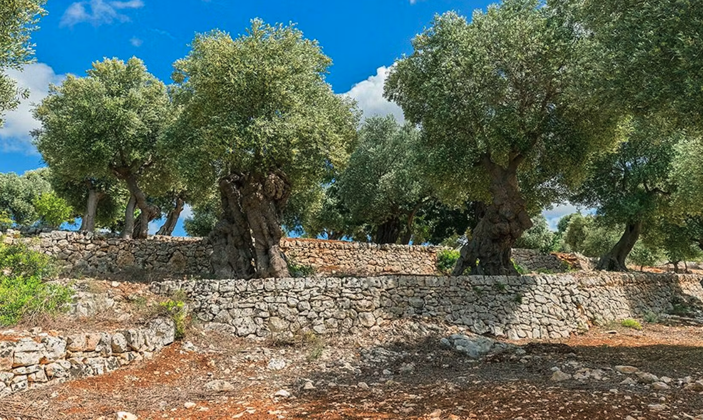 villa Puglia