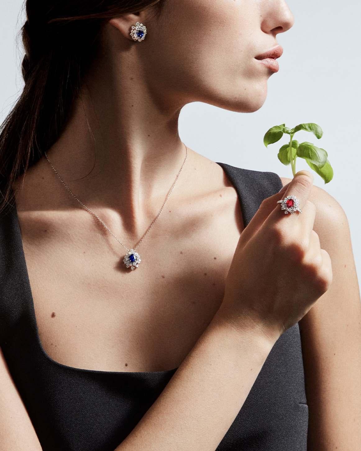 Damiani