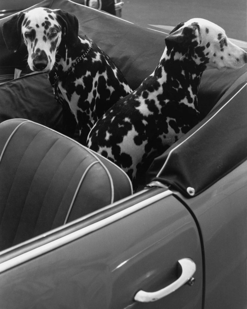 La exposición en Madrid de Louis Stettner, el fotógrafo que retrató la