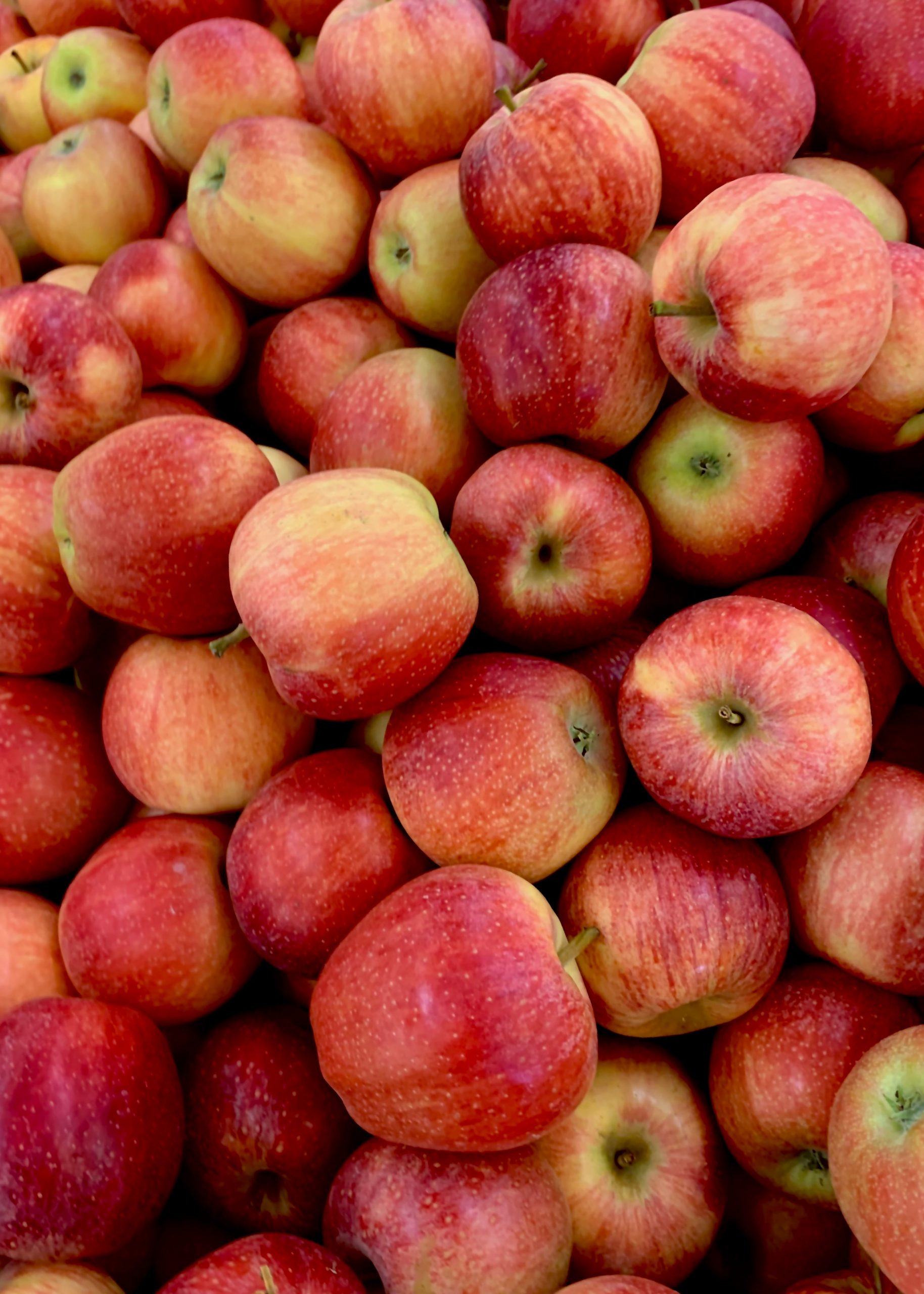 Alimentos hinchazón