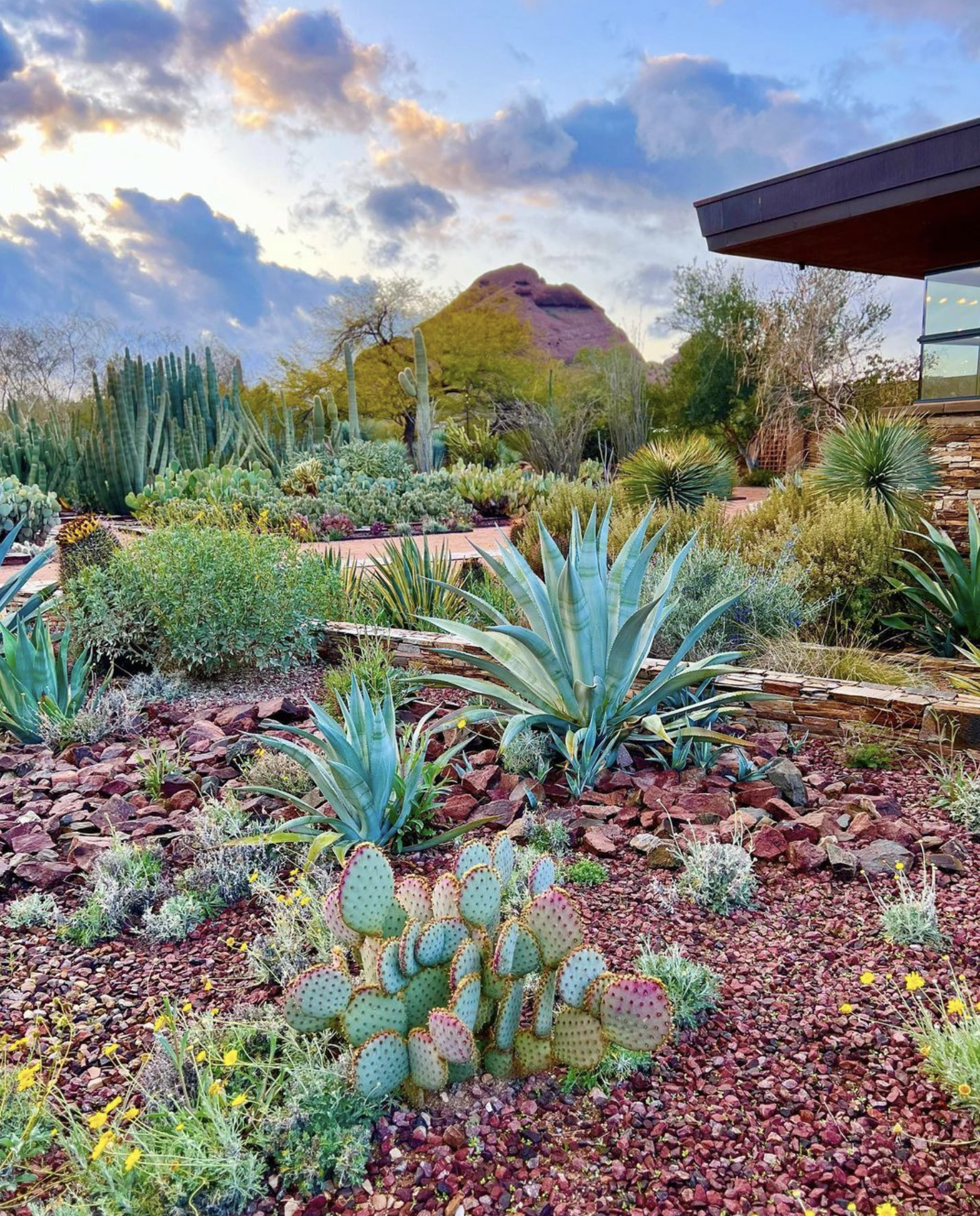 The Ritz-Carlton Paradise Valley