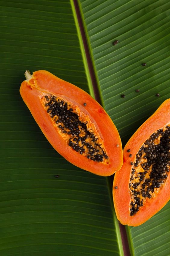 Beneficios papaya