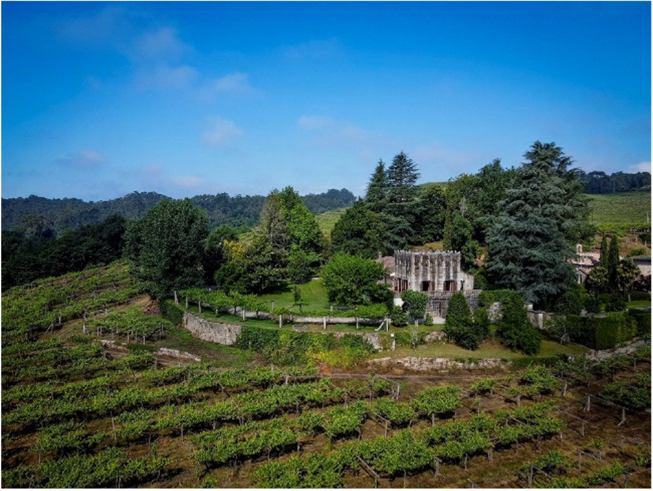 Visitamos el Pazo Fillaboa: un romántico paseo entre viñedos y obras de arte
