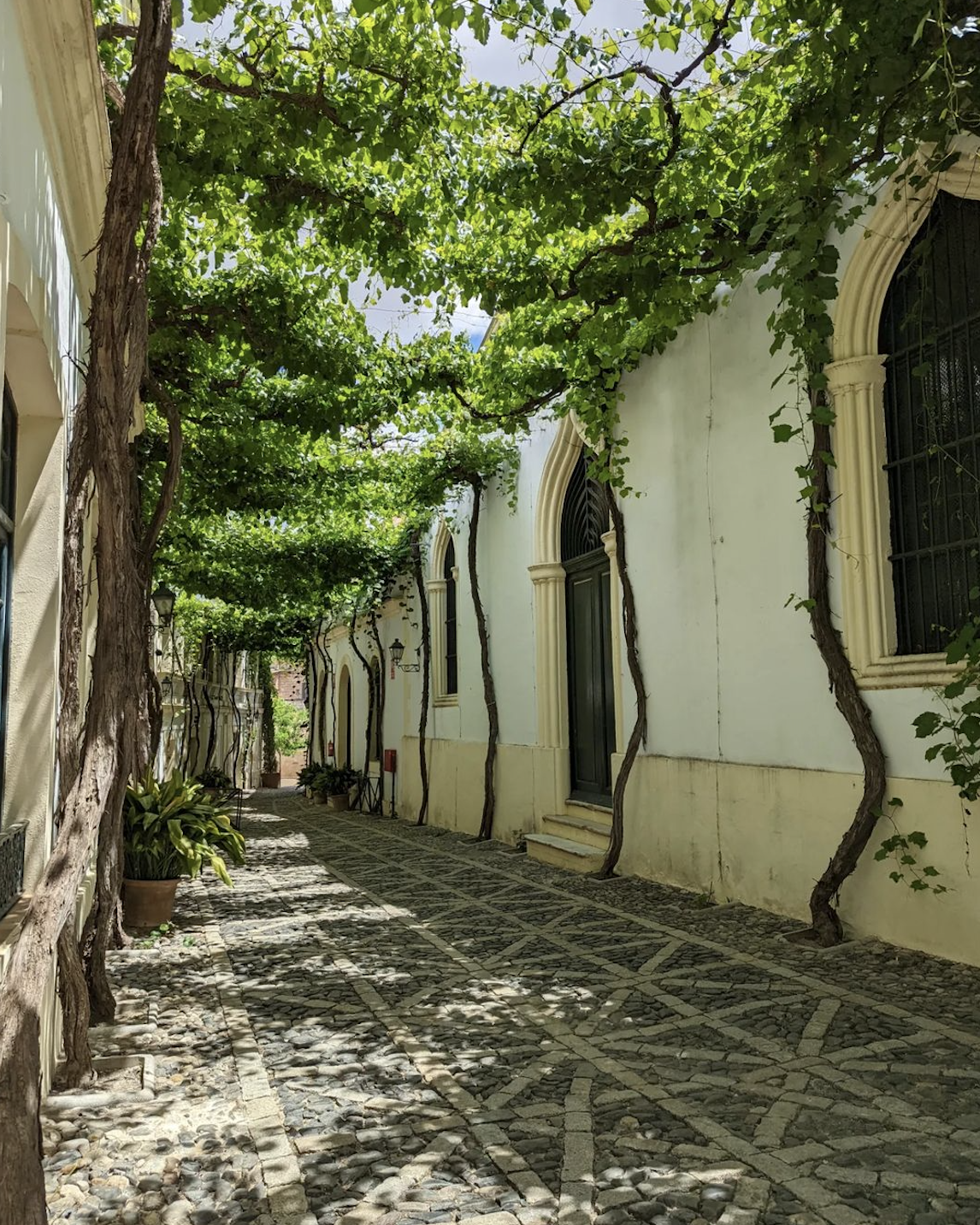 Bodega González Byass