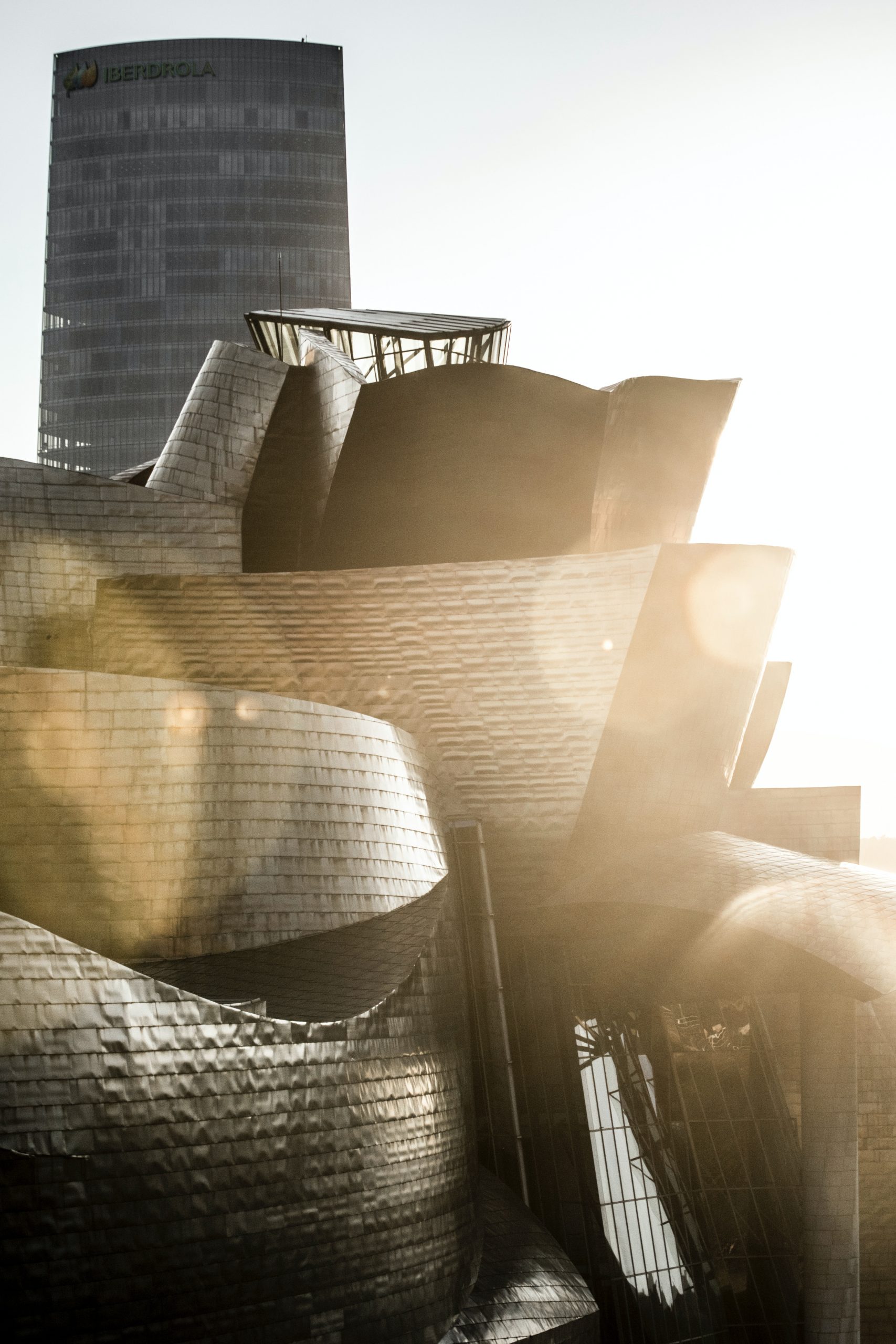 Museo Guggenheim de Bilbao