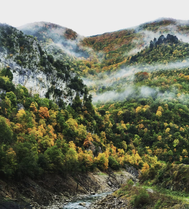 Selva de Irati, sitios de España que ver al menos una vez en la vida