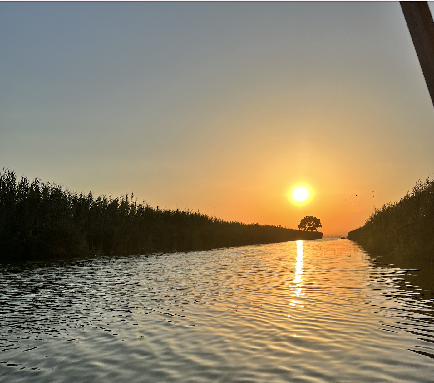 Albufera, Valencia