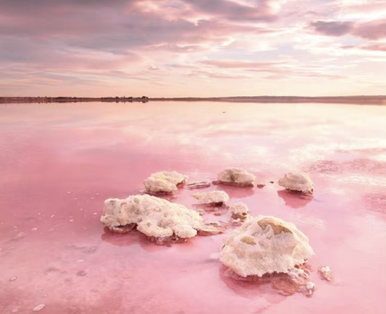Laguna Rosa Torrevieja, sitios de España que ver al menos una vez en la vida