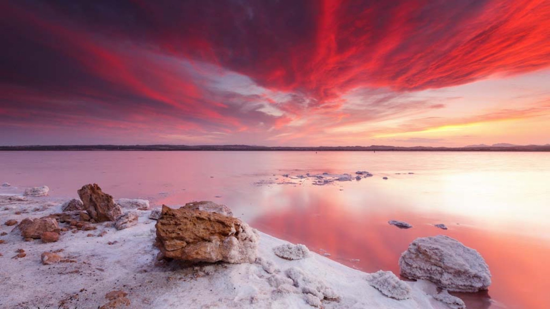 Laguna Rosa Torrevieja