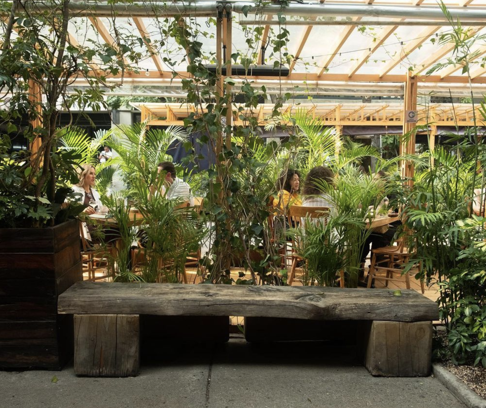 La revolución latinoamericana en la gastronomía