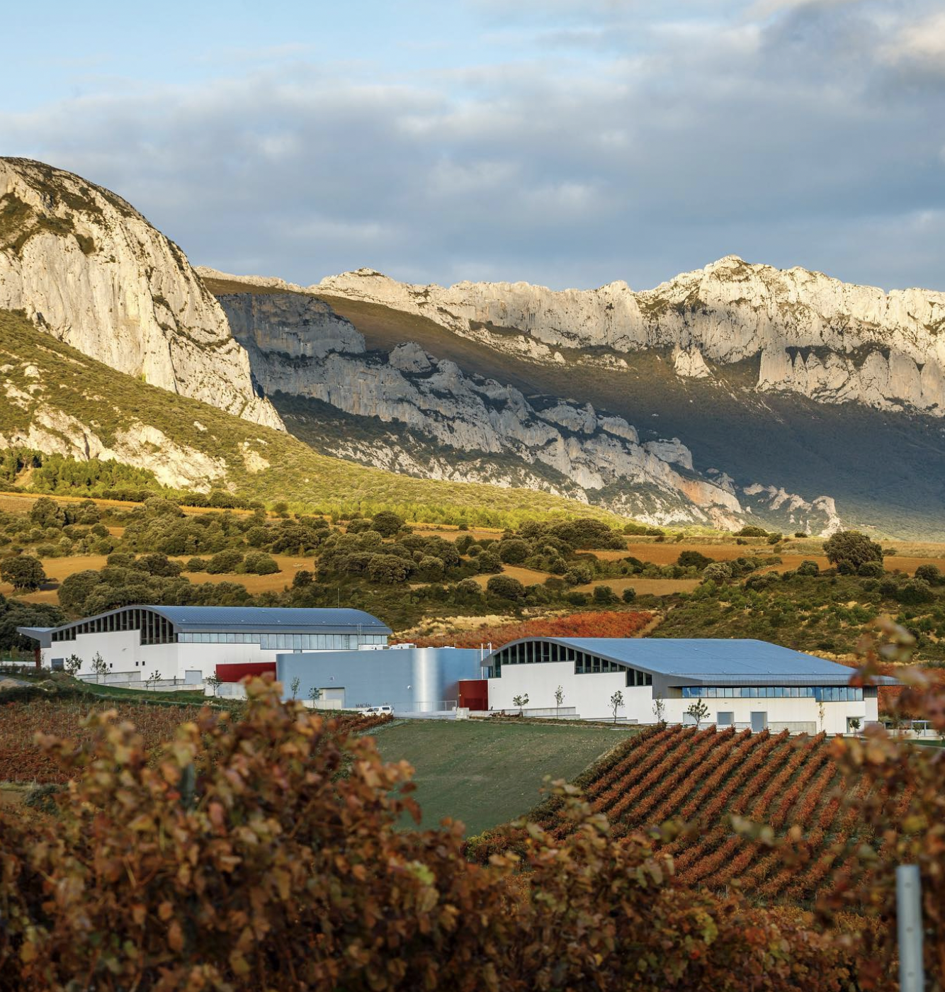 Bodegas Macán