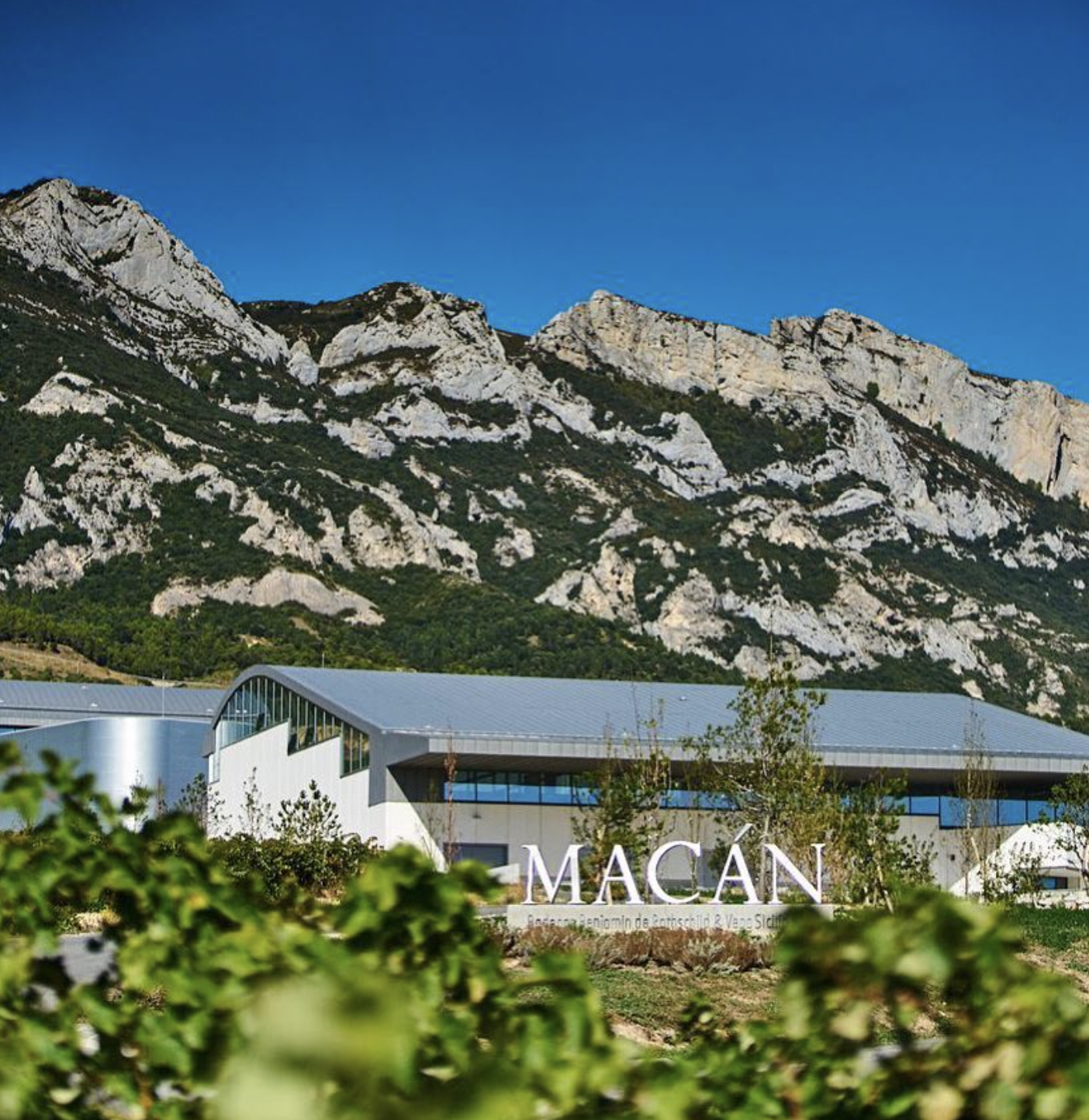 Bodegas Macán