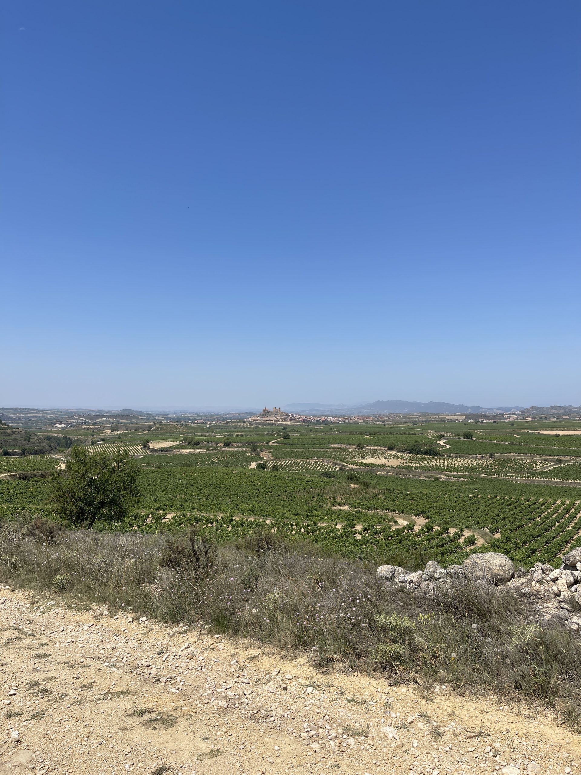 Bodegas Macán