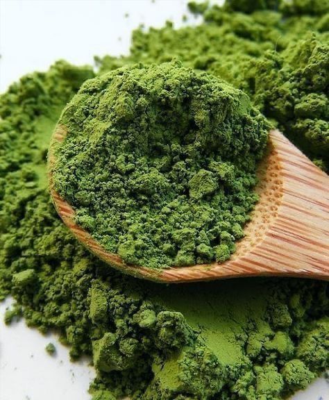 chlorella