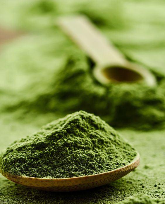 chlorella