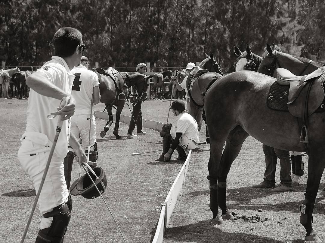 Santa María Polo Club