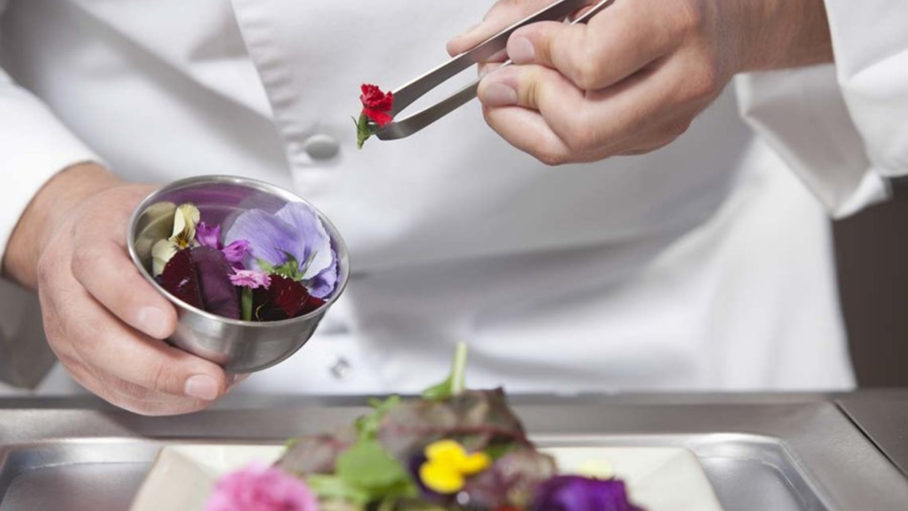 ¿Por qué las flores comestibles fascinan tanto a la alta cocina?