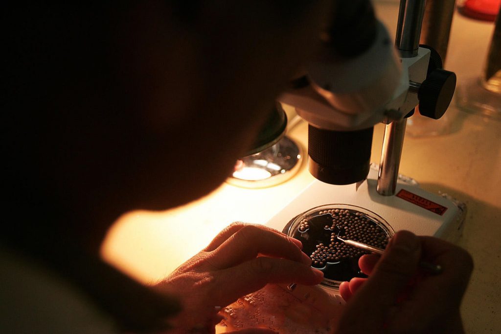Microscopio Caviar