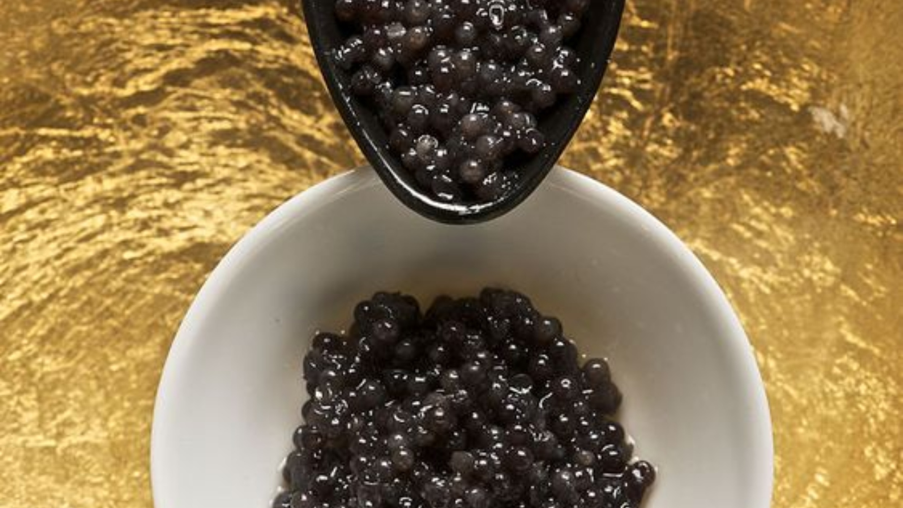 Caviar, caviar en plato