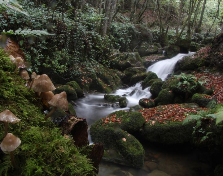 Parque Aizkorri Aratz