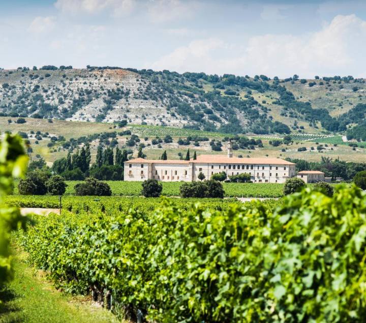 Visita bodegas Ribera del Duero