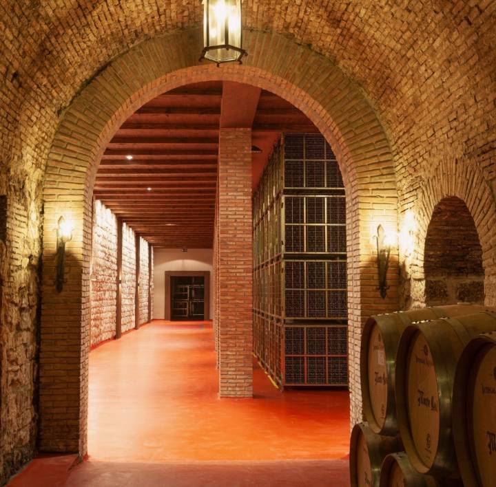 Visitar bodega La Rioja