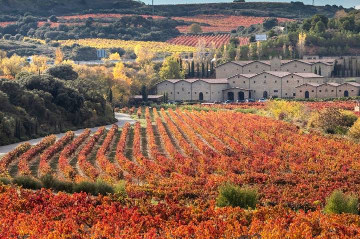 Visitar bodega La Rioja