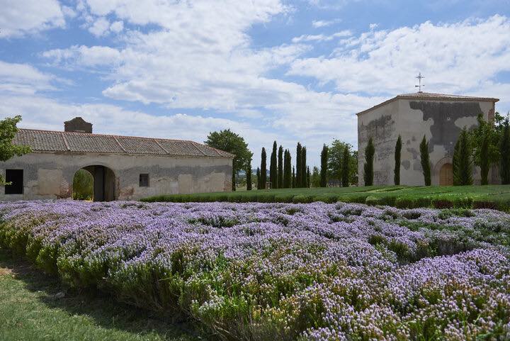 La Mejorada