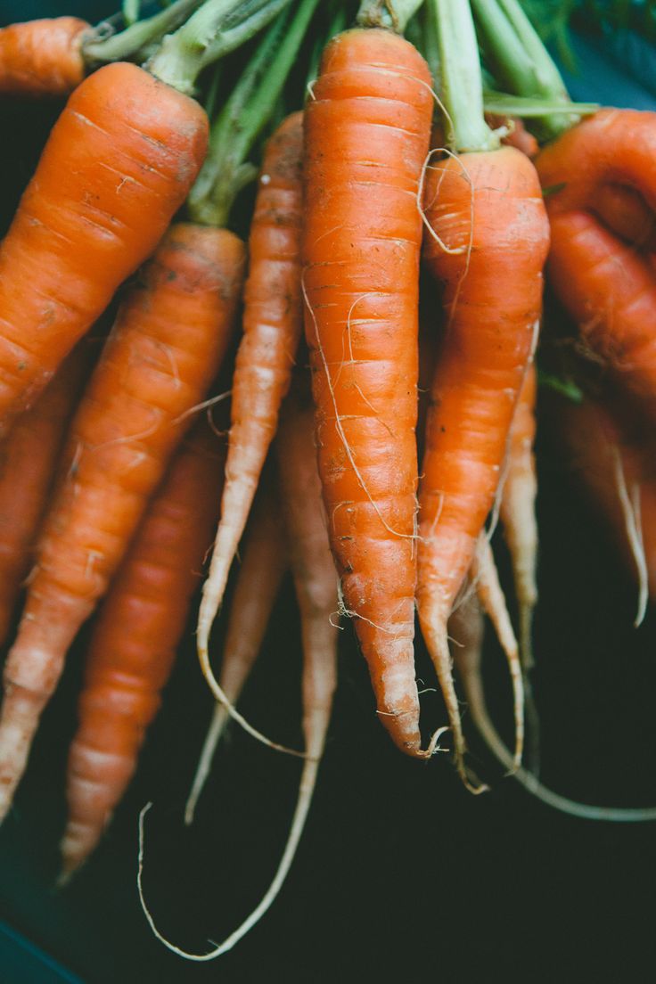 zanahorias dientes