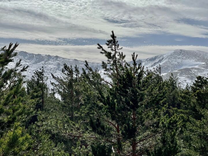 Navacerrada